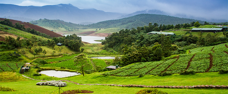 Tourist Places in Ooty