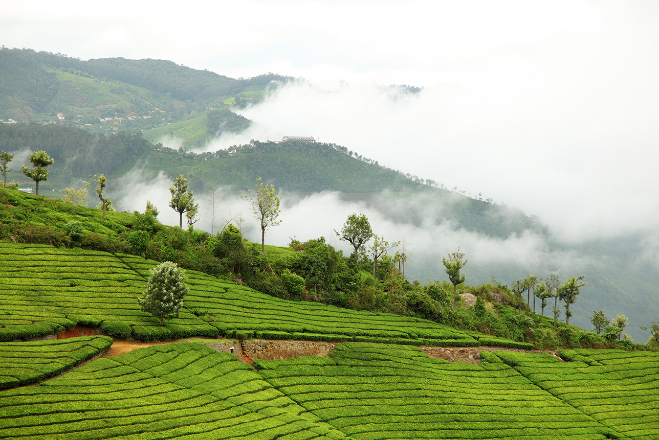 coonoor tourism