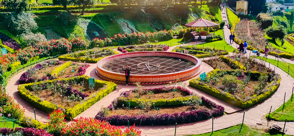 rose garden in ooty