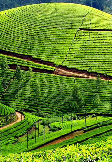 queen of hill stations