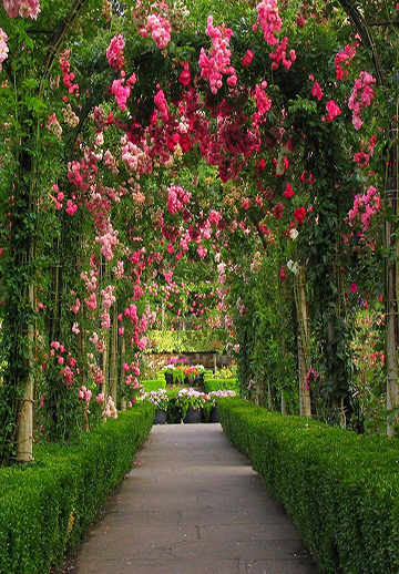 sight seeing in ooty